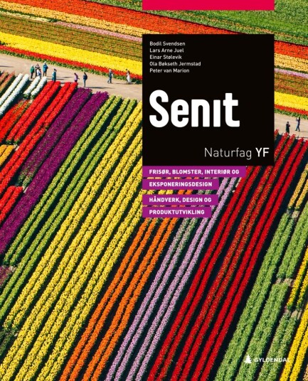 Senit Av Ola Bøkseth Jermstad, Lars Arne Juel, Peter Van Marion, Einar Stølevik, Bodil Louise Svendsen