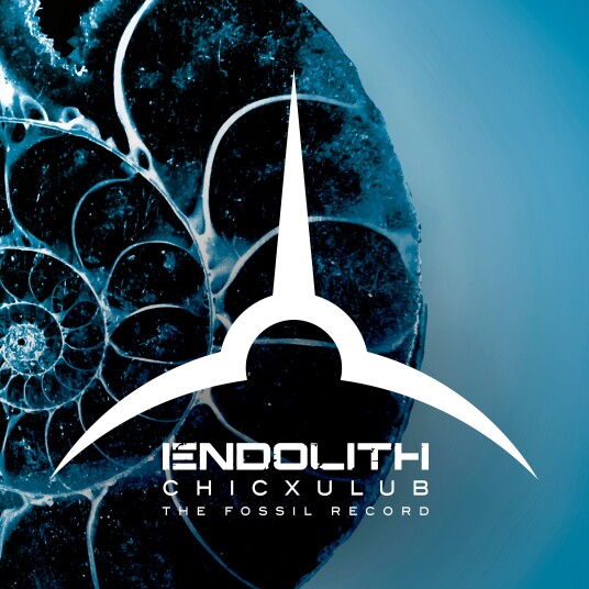 Endolith Chicxulub The Fossil Record LP/Vinyl Endolith Chicxulub The Fossil Record LP/Vinyl