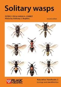 Yeo Peter F. Solitary wasps