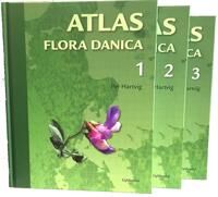 Atlas Flora Danica | Dansk Botanisk Forening | Språk: Dansk