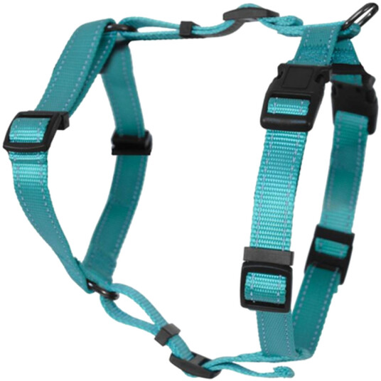 Hundsele Justerbar Iris Turquoise X-Small 10Mm Neck Max 25Cm Chest Max 38Cm