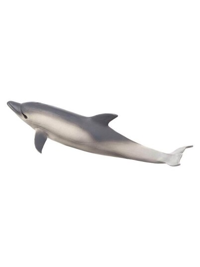 Mojo Sealife Common Dolphin
