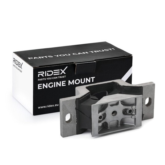 Motorfeste RIDEX 247E0895 Motorfeste RIDEX 247E0895