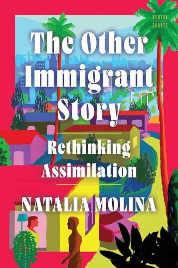 The Other Immigrant Story Rethinking Assimilation