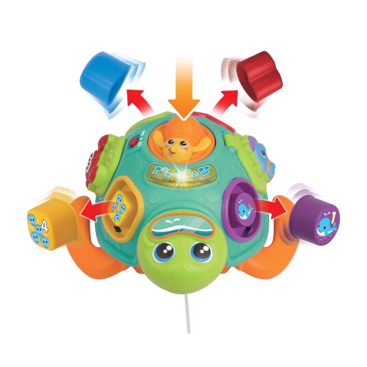 WINFUN Dra med Sort "N Learn Turtle 240301 NL