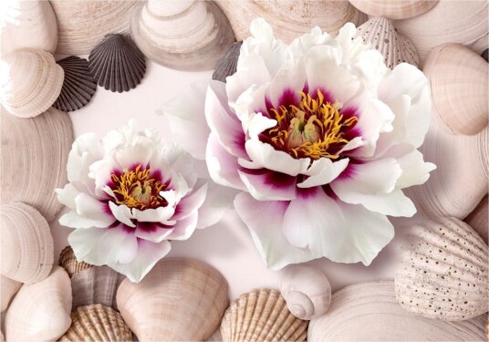 Fototapet Flowers And Shells 200x140 - Artgeist sp. z o. o.