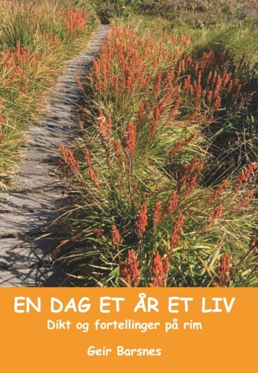 En Dag Et År Et Liv Av Geir Barsnes