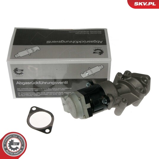 EGR ventil ESEN SKV 14SKV089