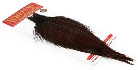 Whiting Bronze Cape Whiting Bronze Cape