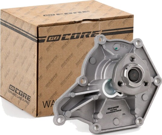 Vannpumpe GOCORE GCA2600025