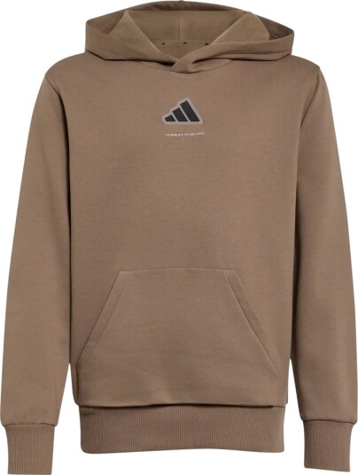 Adidas Sportswear B Fl Hd Brown 176