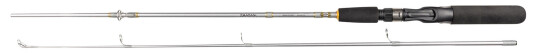 Daiwa Silvercast