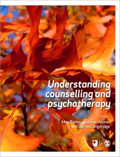 Understanding Counselling And Psychotherapy