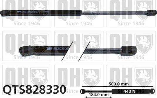 QUINTON HAZELL QTS828330 Baklukedemper