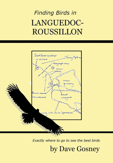 Finding Birds in Languedoc Roussillon Finding Birds in Languedoc Roussillon