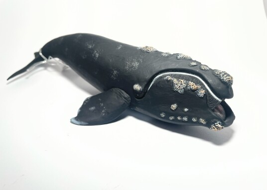 Collecta Right Whale