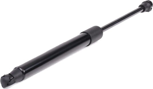RIDEX 219G0440 Baklukedemper