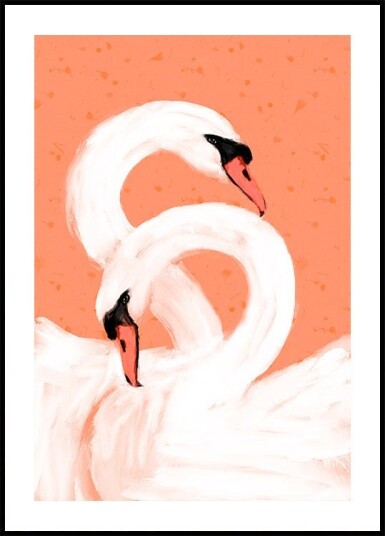 Graceful Swans Plakat Plakat / 21x30cm