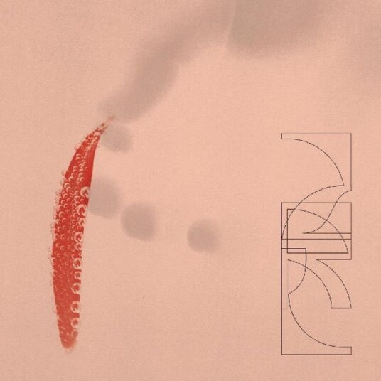 Our Savings Vinyl