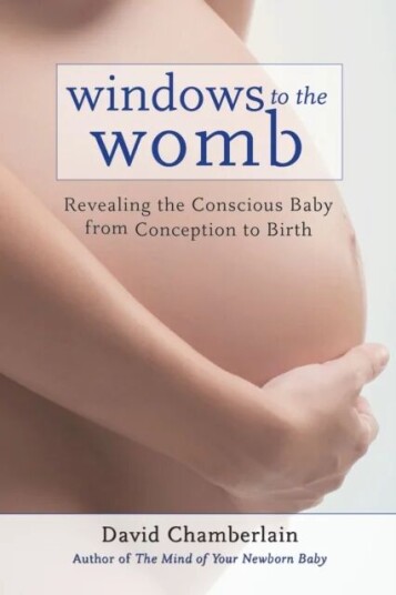 Windows To The Womb Av David Chamberlain