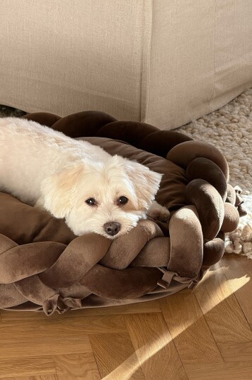 Jotex Hunde/katteseng Mørk brun BRADY 210990402S