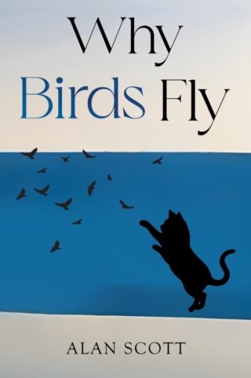 Why Birds Fly Why Birds Fly