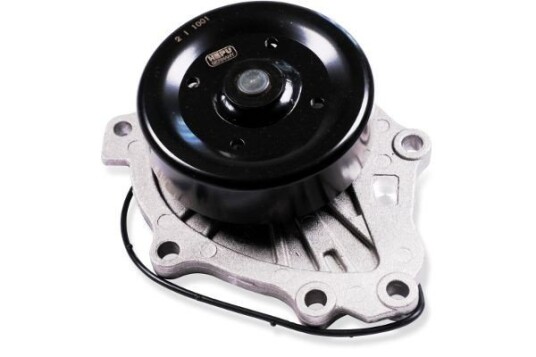 HEPU P7789 Vannpumpe