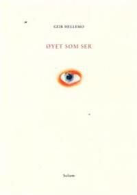 Øyet Som Ser Av Geir Hellemo