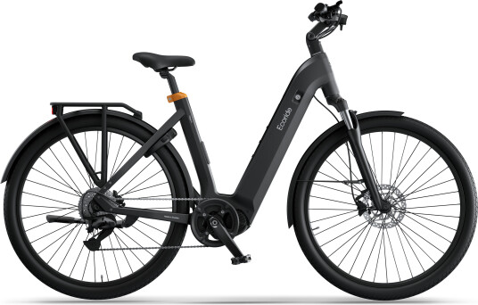 Ecoride Tripper-4-Midmotor-Low-step-black-small