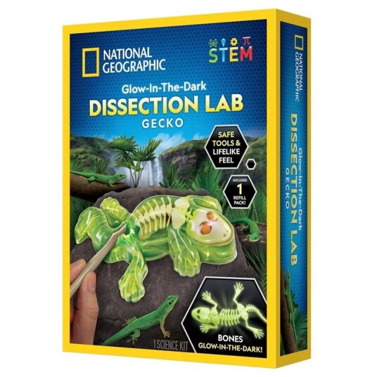 National Geographic Glow-in-the-Dark: Gecko Disseksjonslab National Geographic Glow-in-the-Dark: Gecko Disseksjonslab