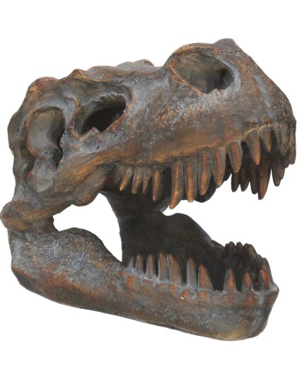 Tyrannosaurus Rex Skjeletthode Frittstående Figur 16 cm