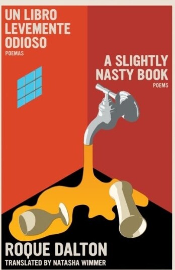 A Slightly Nasty Book A Slightly Nasty Book