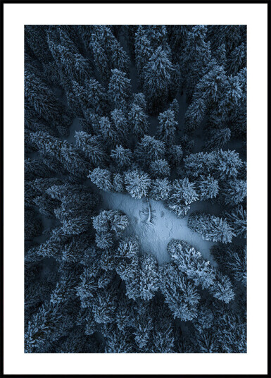 Texture of the forest Plakat Plakat / 21x30cm Texture of the forest Plakat Plakat / 21x30cm