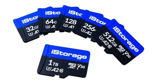 Istorage Is-Msd-1-256, 256 Gb, Microsdxc, Klasse 10, Uhs-Iii, Klasse 3 (U3), V30
