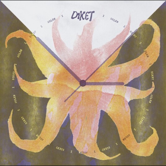 Diket Diket I Solen I Diket Vinyl