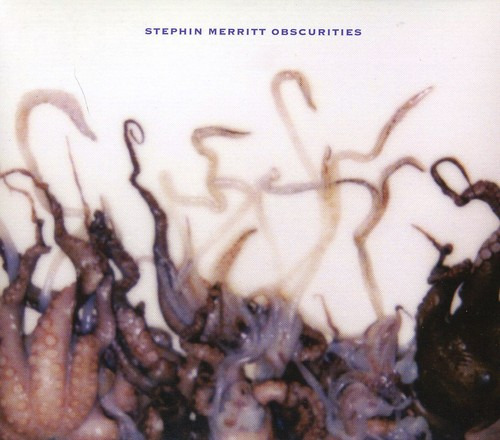 Stephin Merritt Obscurities CD