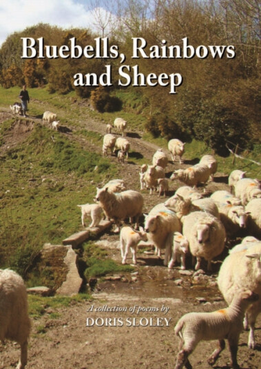 Bluebells, Rainbows and Sheep