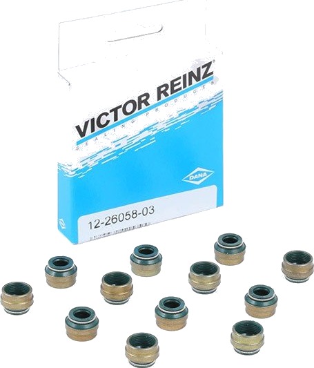 REINZ 12-25837-03 Pakningssett, ventilstamme REINZ 12-25837-03 Pakningssett, ventilstamme