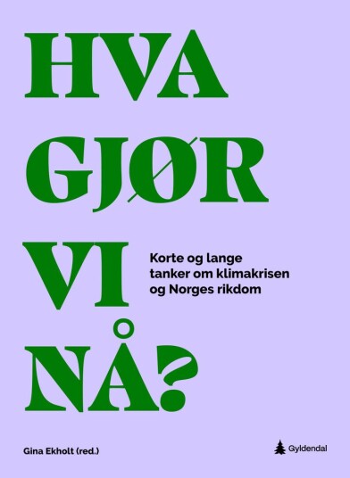 Hva gjør vi nå?