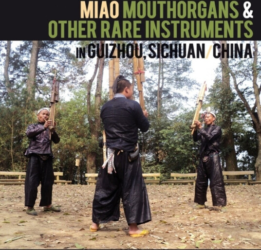 Miao Mouthorgans & Other Rare Instruments In / Var