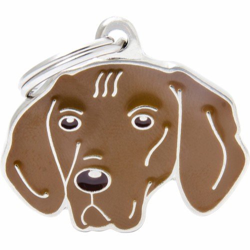 Myfamily ID-tag for Ungarsk vizsla - Hundehalsbånd Myfamily ID-tag for Ungarsk vizsla - Hundehalsbånd