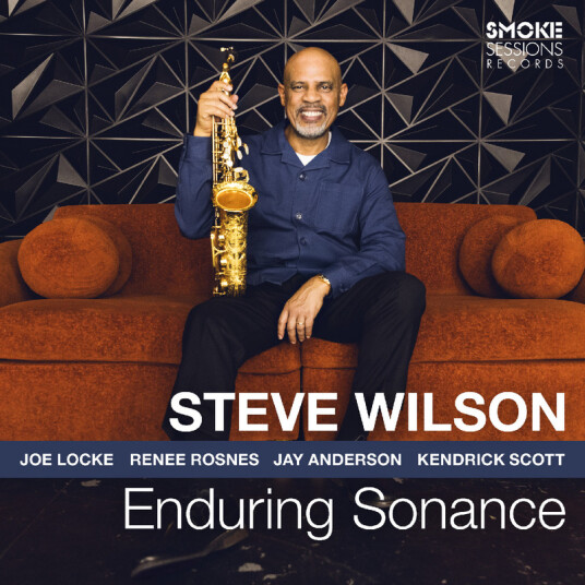 Steve Wilson Enduring Sonance CD