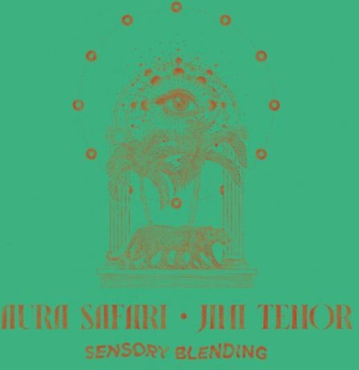 Aura Safari Sensory Blending CD
