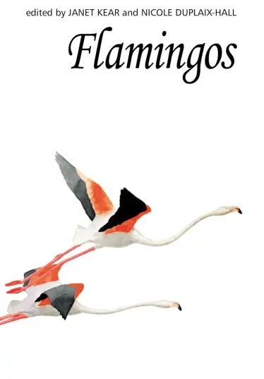 Flamingos Flamingos