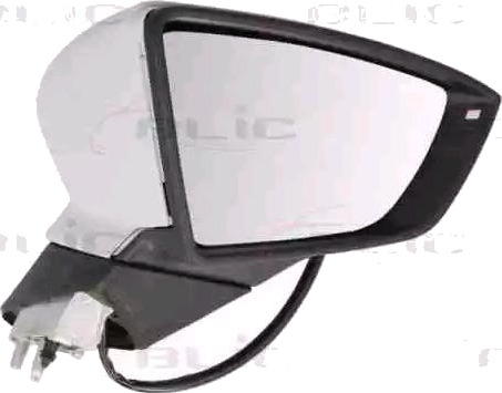 BLIC 5402-10-2002306P Sidespeil
