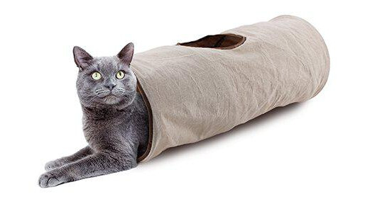 Afp Crinkle Cat Tunnel