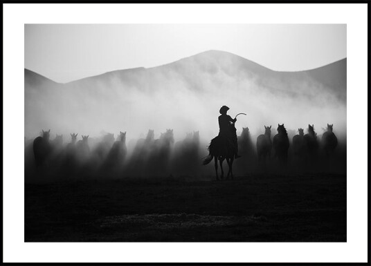 Chasing the Jades! Plakat Plakat / 21x30cm