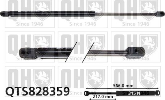 QUINTON HAZELL QTS828359 Baklukedemper