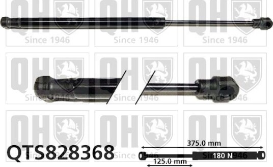 QUINTON HAZELL QTS828368 Baklukedemper
