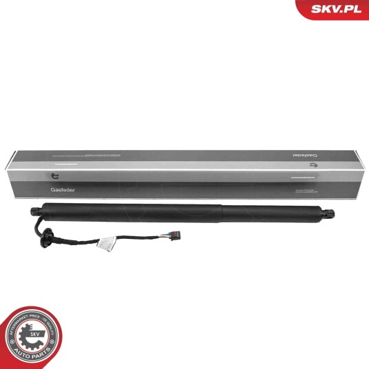 Elektromotor bakluke ESEN SKV 52SKV173